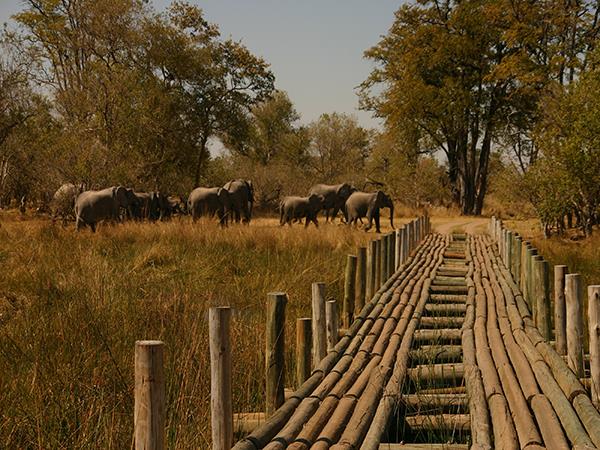 Cost of 10 Days Botswana safari holiday vacation in 2026-2-2028
